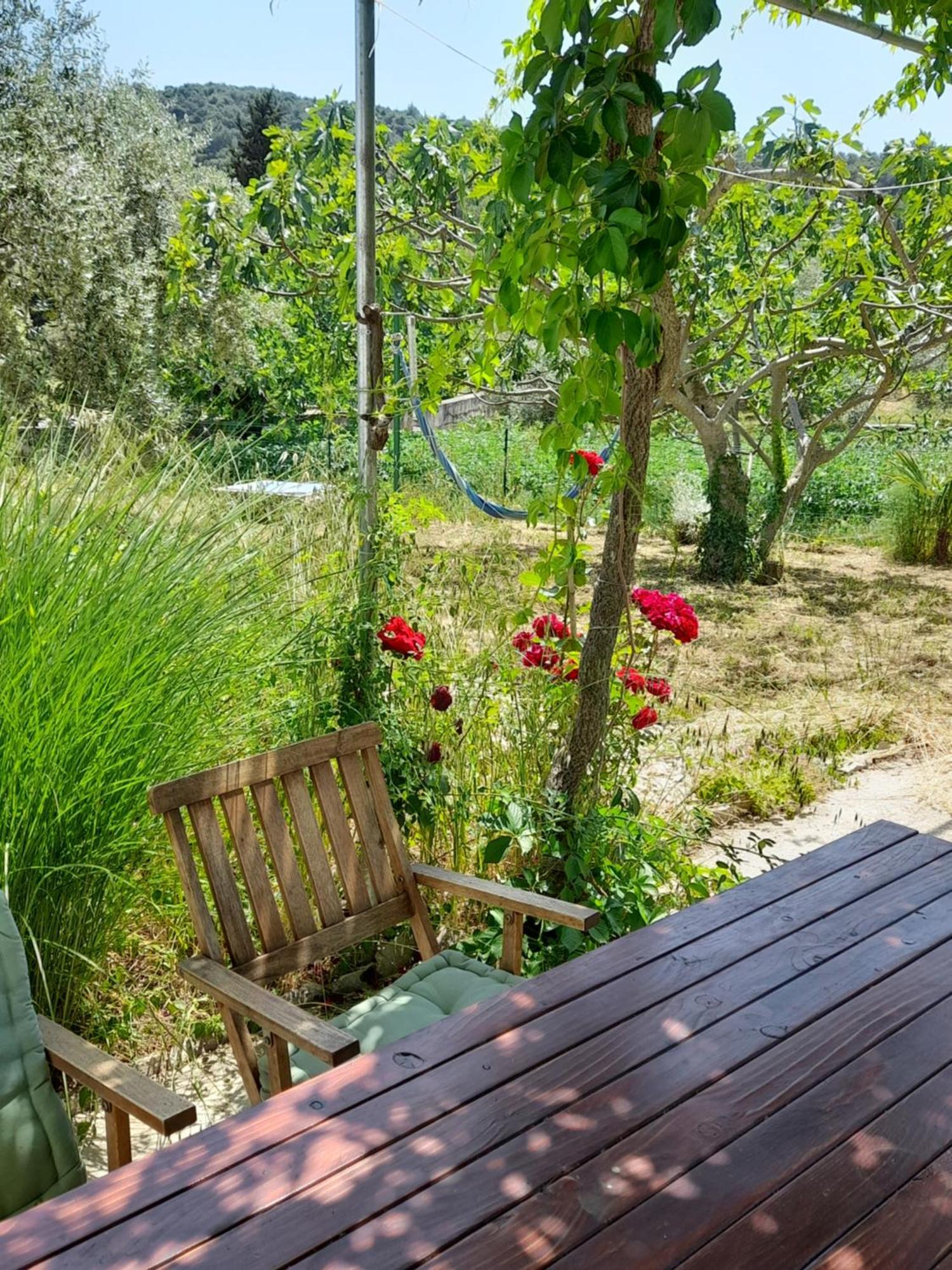Rustic Holiday Home Miketa Lukoran ภายนอก รูปภาพ